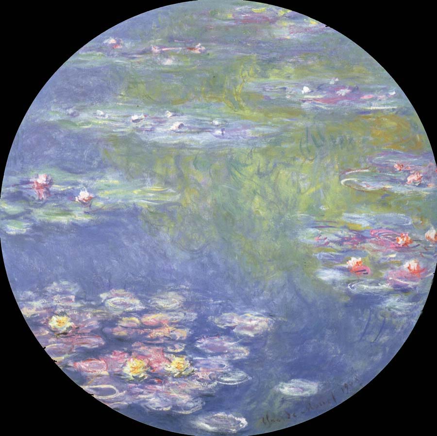 Water Lilies